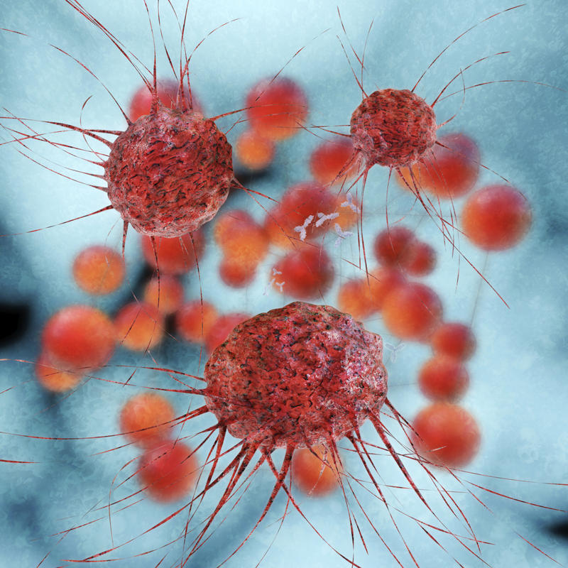 Cancer cells